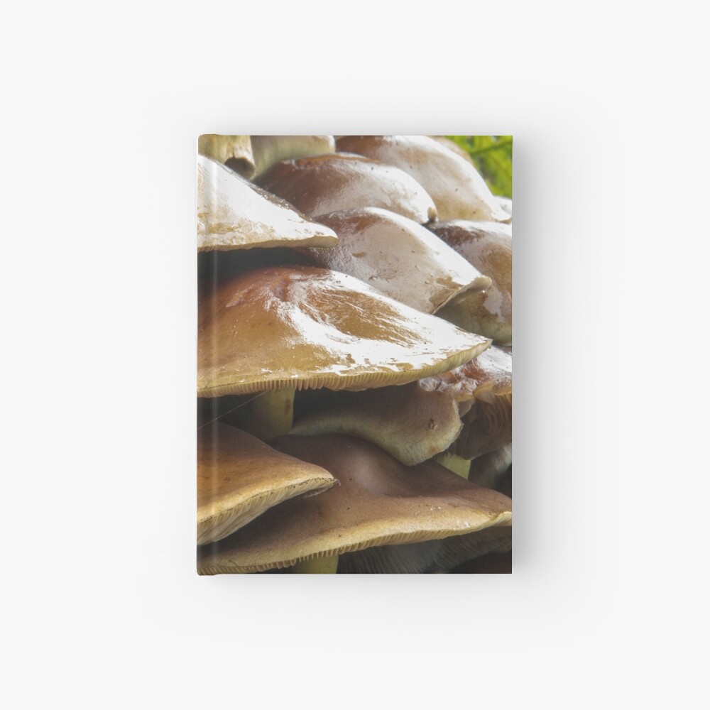 Item preview, Hardcover Journal designed and sold by neandercol.