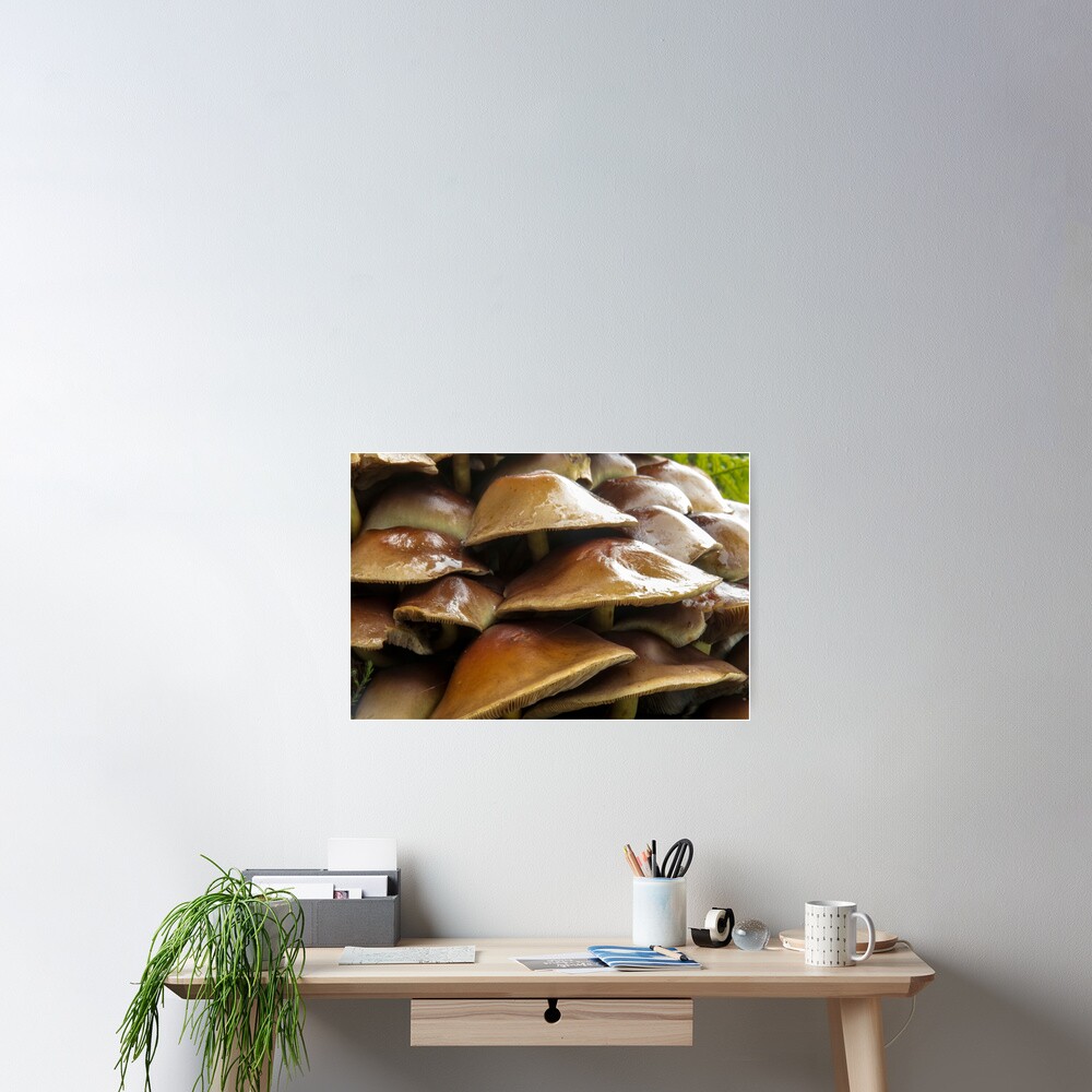 Item preview, Poster designed and sold by neandercol.