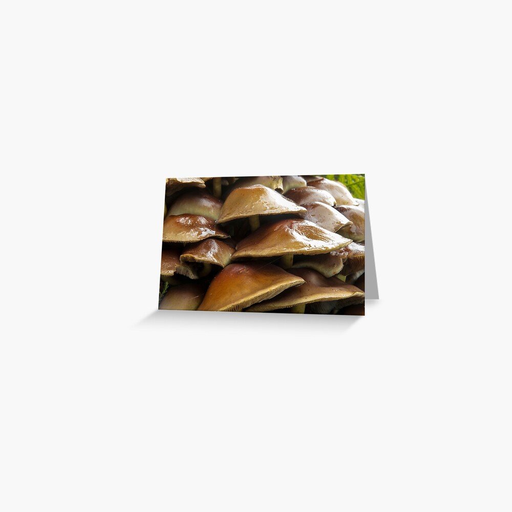 Item preview, Greeting Card designed and sold by neandercol.