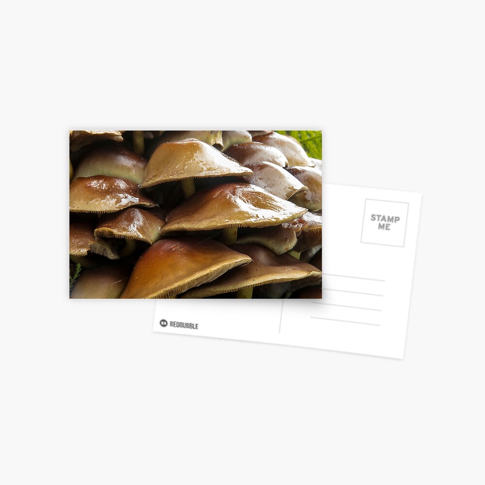 Item preview, Postcard designed and sold by neandercol.