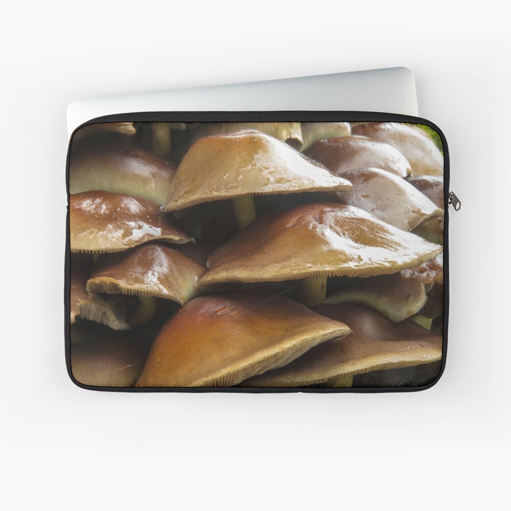 Item preview, Laptop Sleeve designed and sold by neandercol.