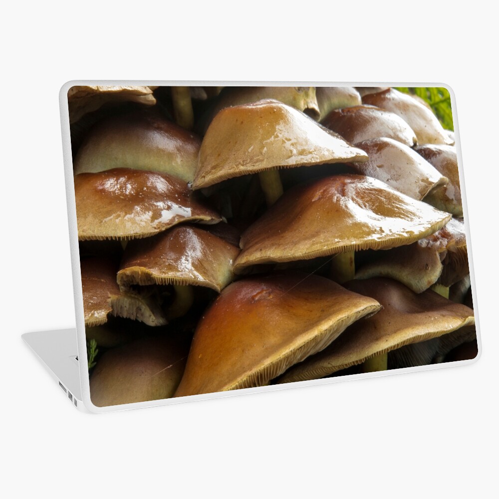Item preview, Laptop Skin designed and sold by neandercol.