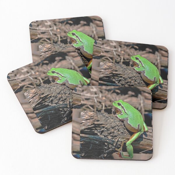 Item preview, r670/ A Kind Frog Palmé -Grenouille verte palmé  " simply life " to Okaio Créations - Olavia-Olao  designed and sold by o.okaïo.