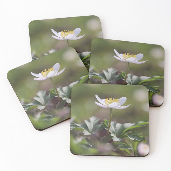 Item preview, Beautiful White Wood Anemones designed and sold by Imladris01.