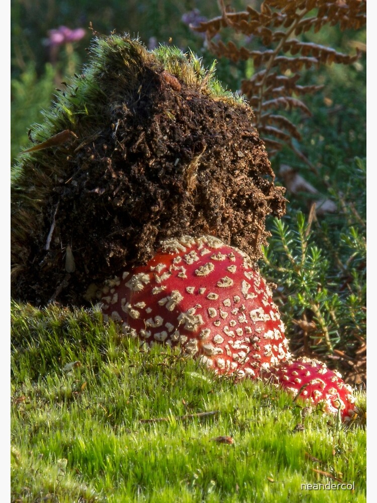 Thumbnail 3 of 3, Photographic Print, Bursting Through designed and sold by neandercol.