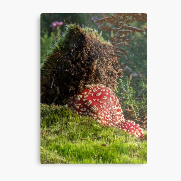 Bursting Through Metal Print