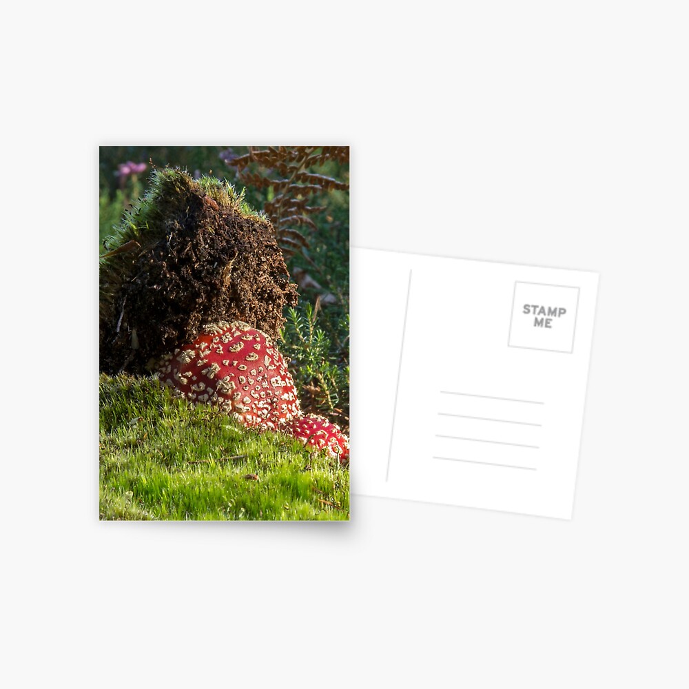 Item preview, Postcard designed and sold by neandercol.