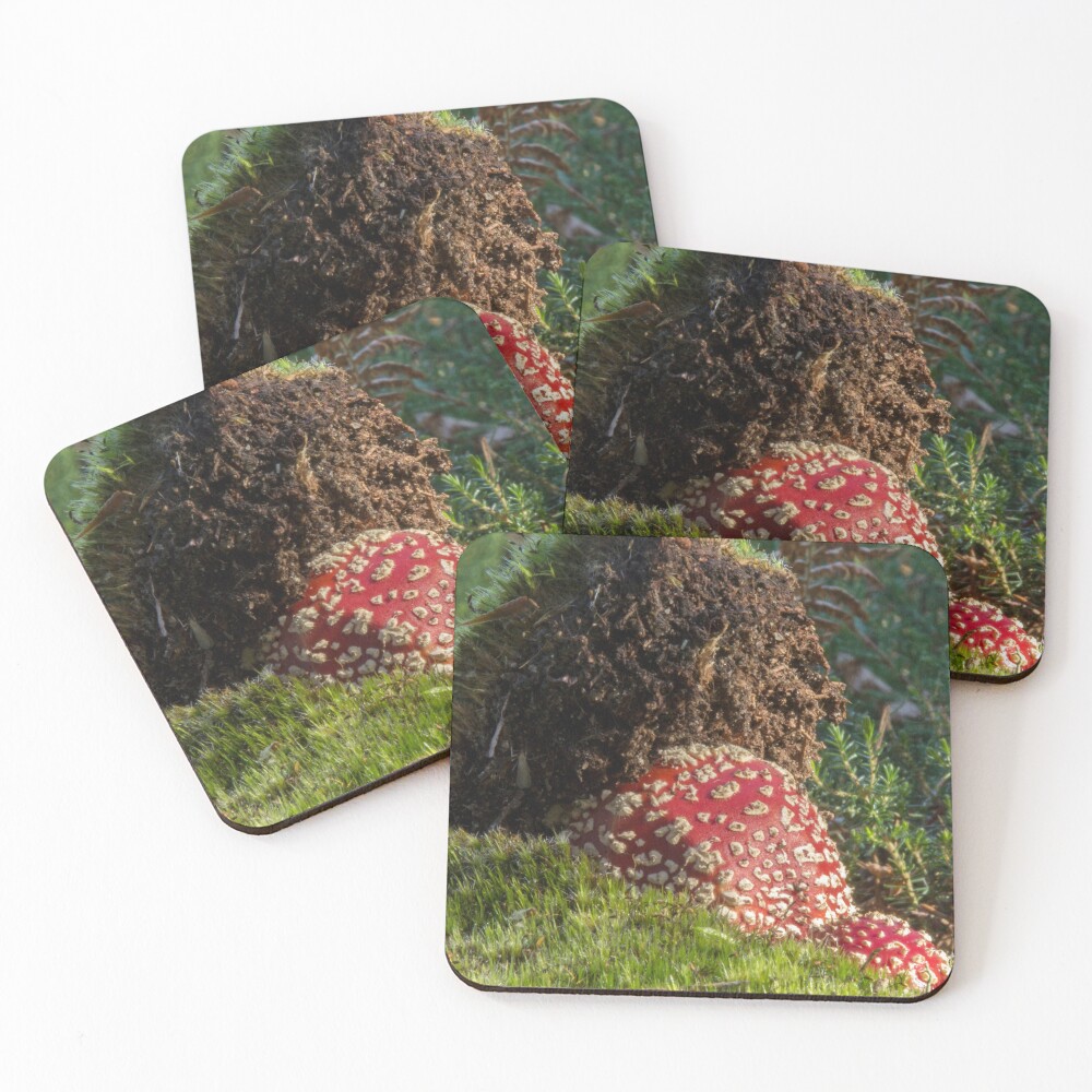 Item preview, Coasters (Set of 4) designed and sold by neandercol.