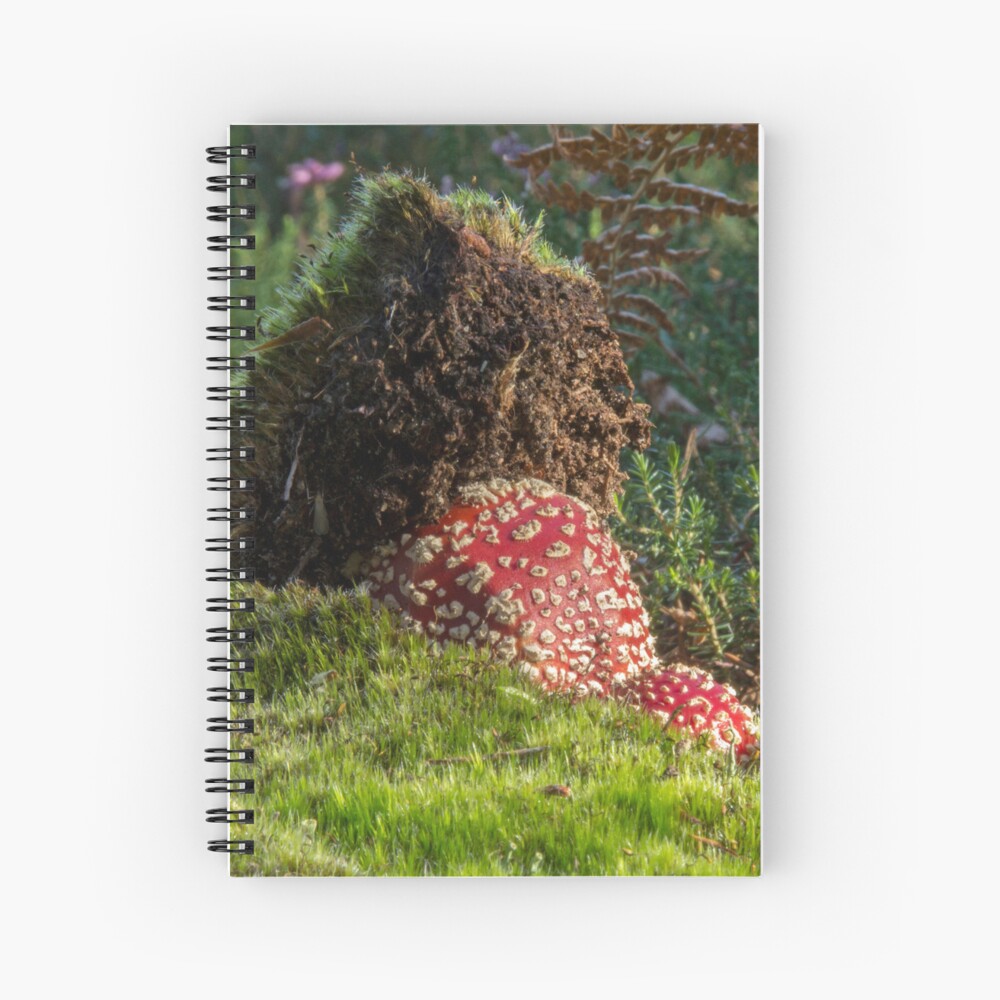 Item preview, Spiral Notebook designed and sold by neandercol.