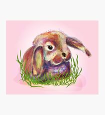 cute bunny in grass Photographic Print