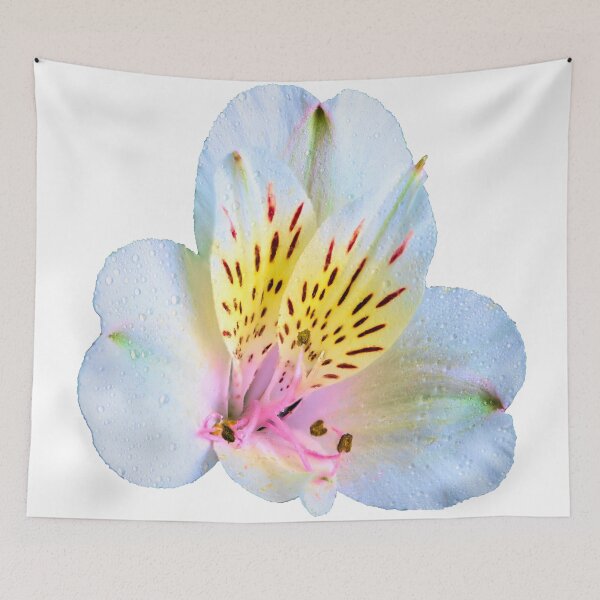 Item preview, alstroemeria flower designed and sold by IgorKovalenko.