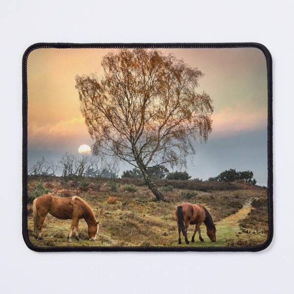 Item preview, New Forest Ponies designed and sold by Geoff Carpenter.
