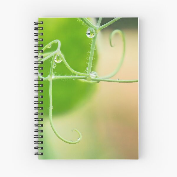 Item preview, Sweet Pea Tendrils designed and sold by Dorset Girl.