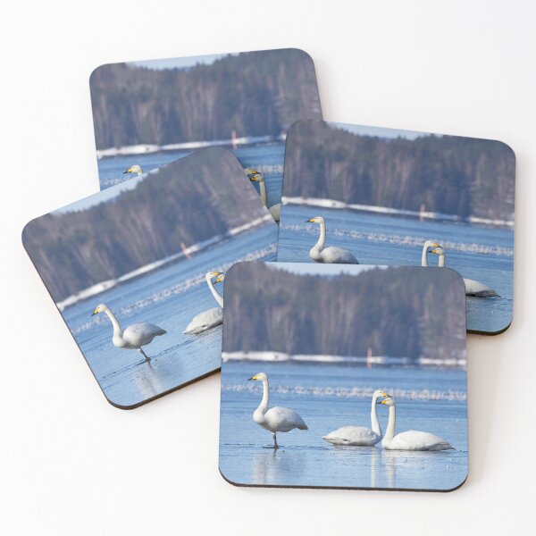 Item preview, Egyptian style. Whooper Swan designed and sold by Jouko Lehto Photography.
