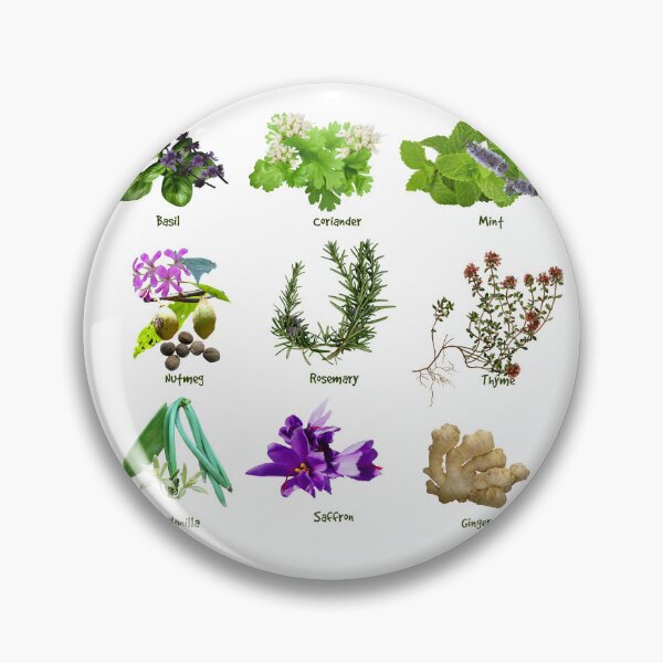 Item preview, HERBS AND SPICES designed and sold by Danicus666.