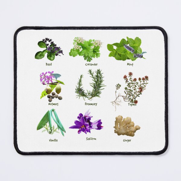 Item preview, HERBS AND SPICES designed and sold by Danicus666.