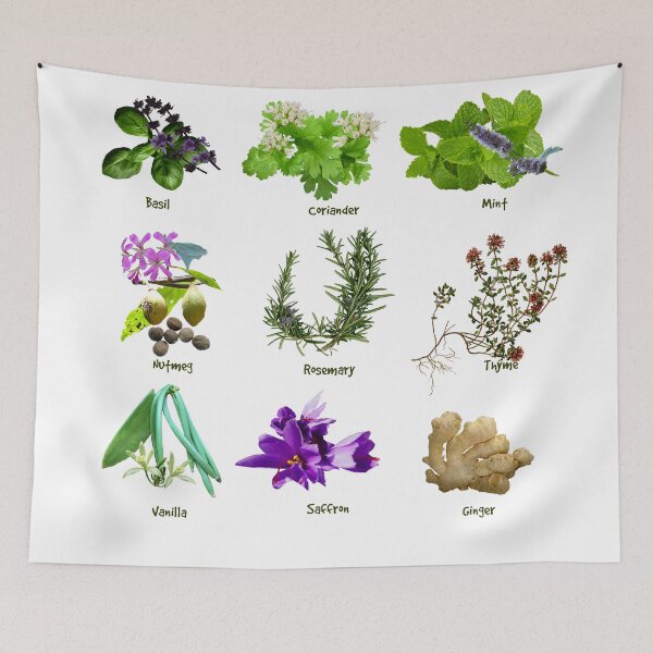 Item preview, HERBS AND SPICES designed and sold by Danicus666.