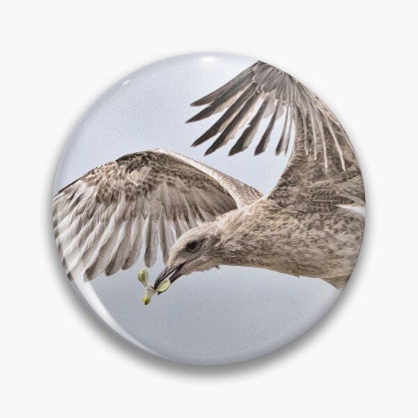 Item preview, Early Flight designed and sold by Geoff Carpenter.