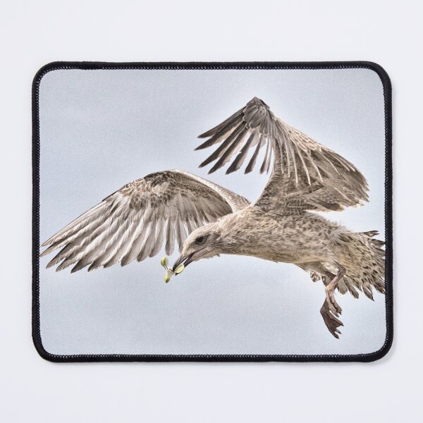 Item preview, Early Flight designed and sold by Geoff Carpenter.