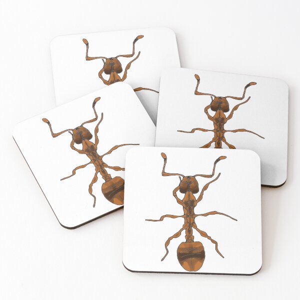 Item preview, Ant belly designed and sold by paw-sci.