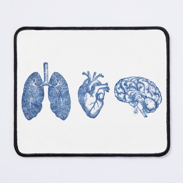 Item preview, A set of human organ, lungs, heart and brain, blue navy designed and sold by Collagedream.