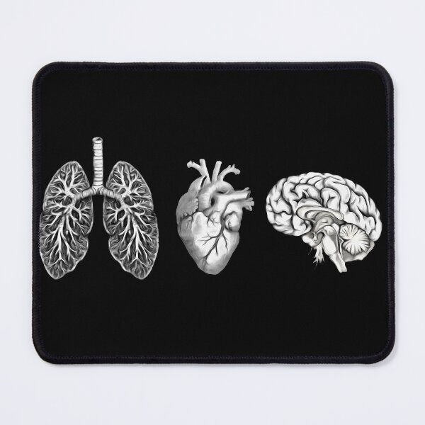 Item preview, A set of human organ, lungs, heart and brain designed and sold by Collagedream.