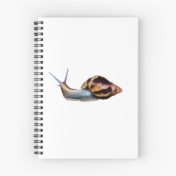 Item preview, Achatina snail designed and sold by IgorKovalenko.