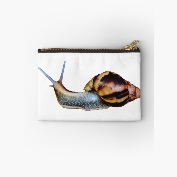 Item preview, Achatina snail designed and sold by IgorKovalenko.