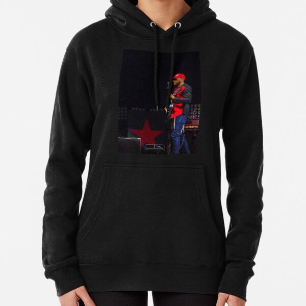 Prophets of Rage Concert Photo - 2016 Pullover Hoodie