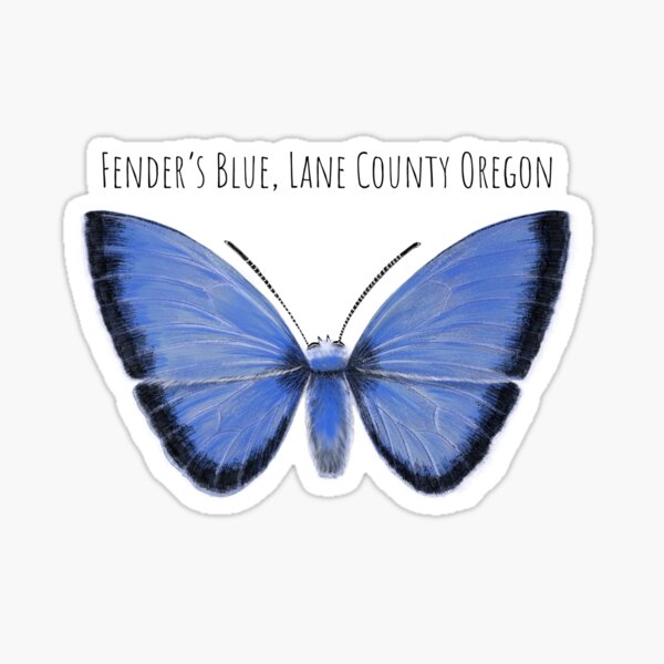Fender’s Blue Butterfly Sticker