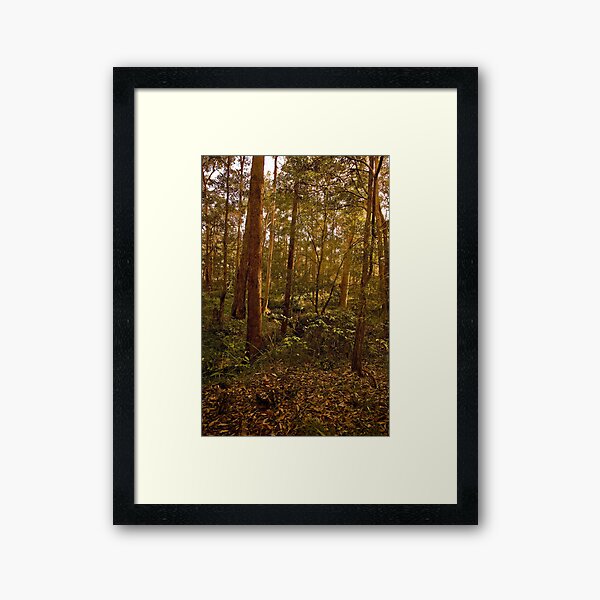Item preview, Early morning in the bush designed and sold by Rosalie Dale.
