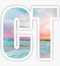 CT Sticker