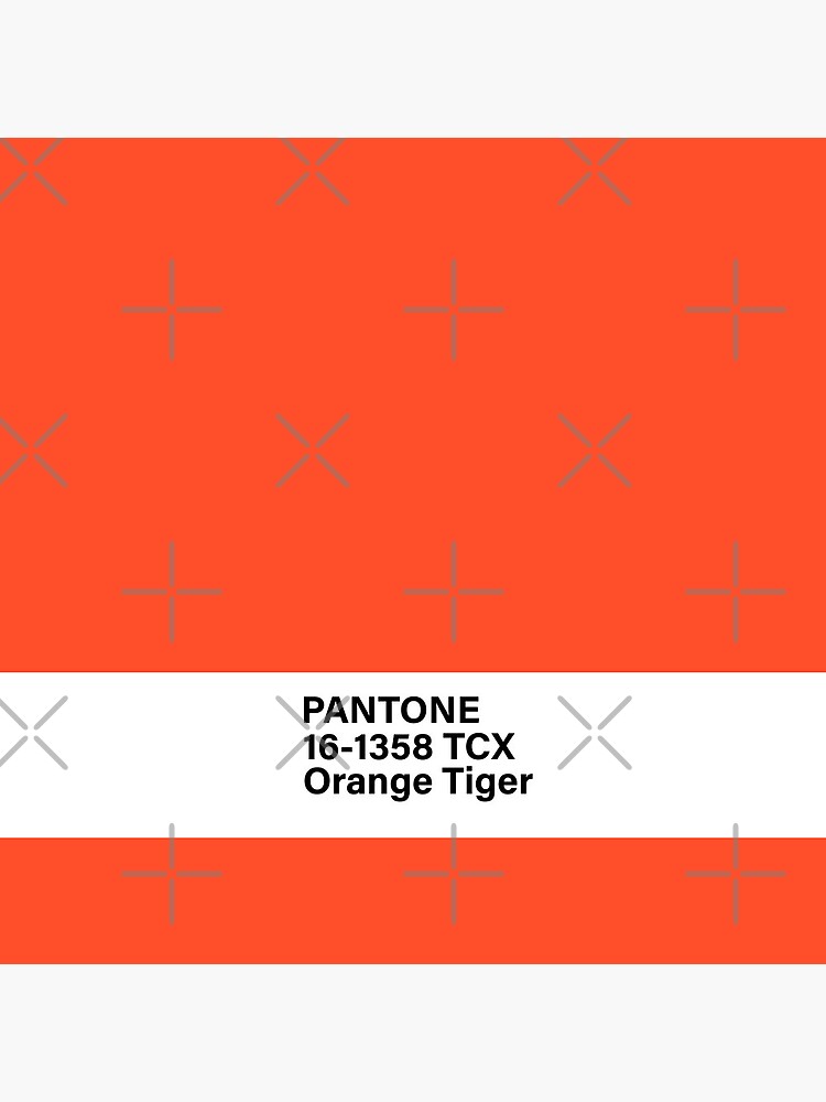 Pantone Orange Tiger  Pantone orange, Pantone colour palettes