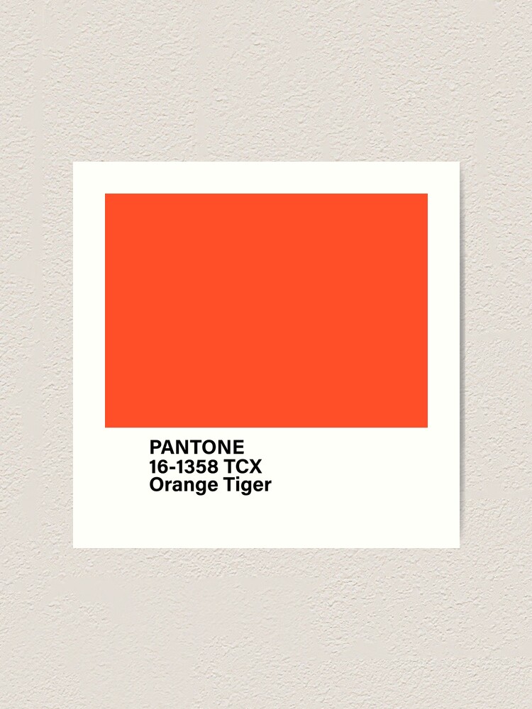 Pantone Orange Tiger  Pantone orange, Pantone colour palettes, Pantone  color chart