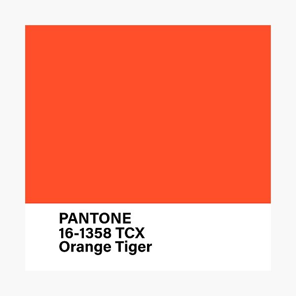 pantone 1448 hermes orange