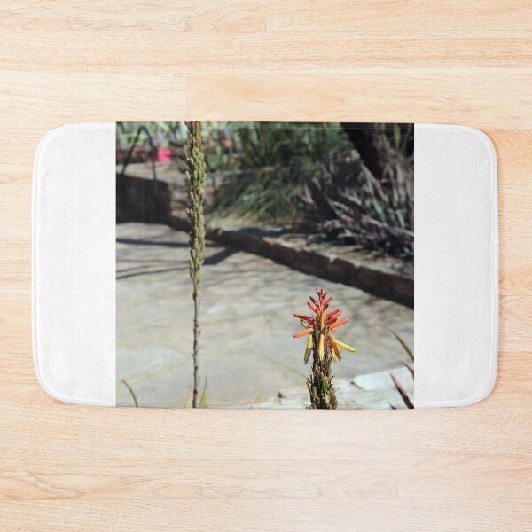 Item preview, Desert Cactus Flower Blooming designed and sold by MADowdPhotos.
