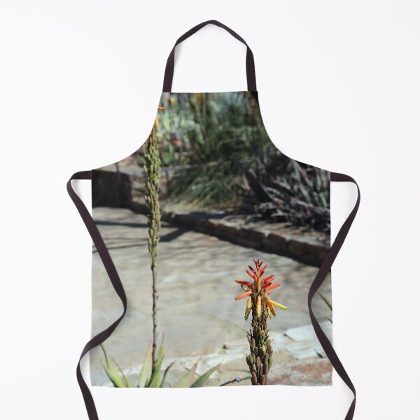 Item preview, Desert Cactus Flower Blooming designed and sold by MADowdPhotos.