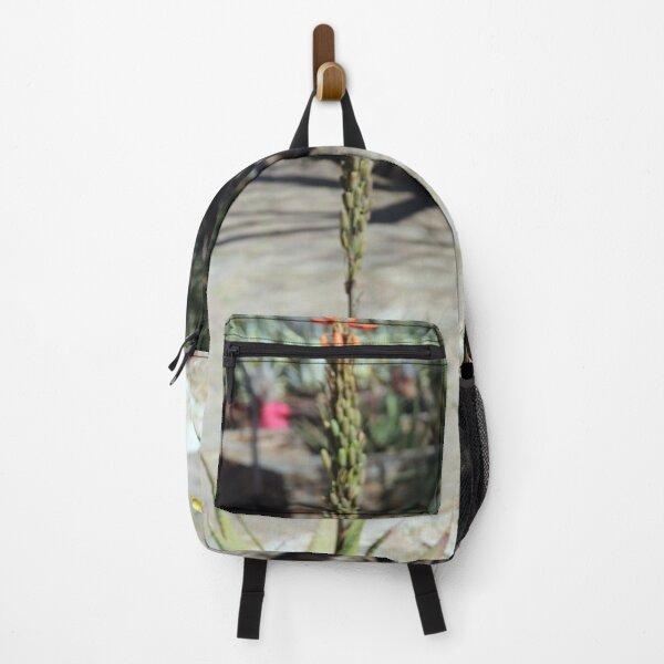 Item preview, Desert Cactus Flower Blooming designed and sold by MADowdPhotos.