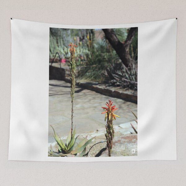 Item preview, Desert Cactus Flower Blooming designed and sold by MADowdPhotos.