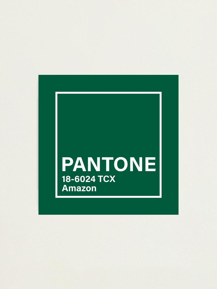 "PANTONE 186024 TCX Amazon, green color" Photographic Print for Sale