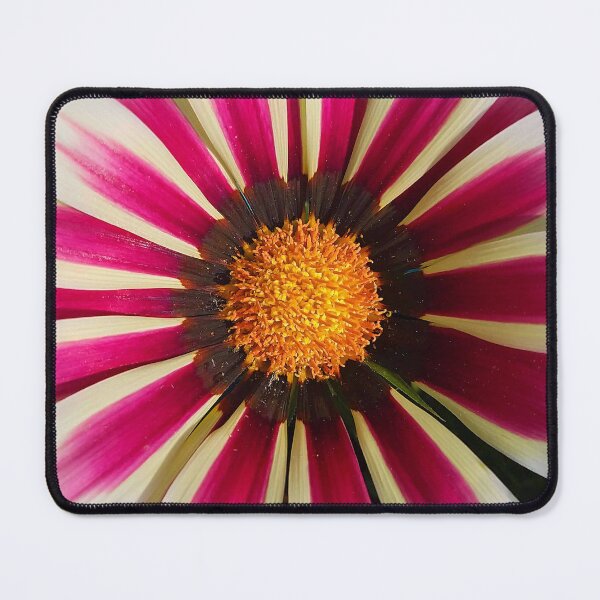Item preview, Gazania Rigens designed and sold by DesignMore21.
