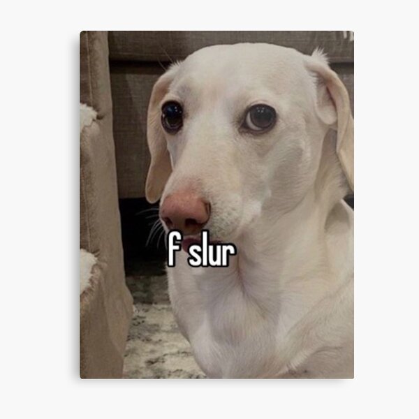 homophobic dog: f slur! Metal Print