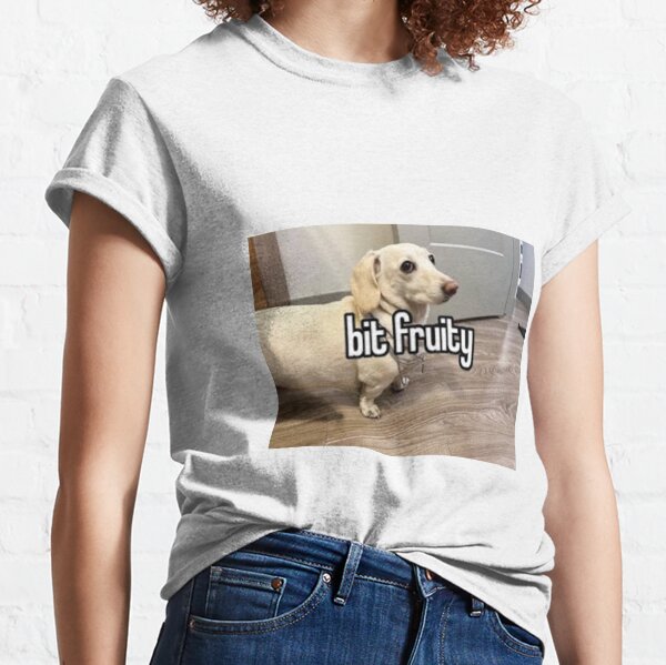 homophobic dog: bit fruity... Classic T-Shirt