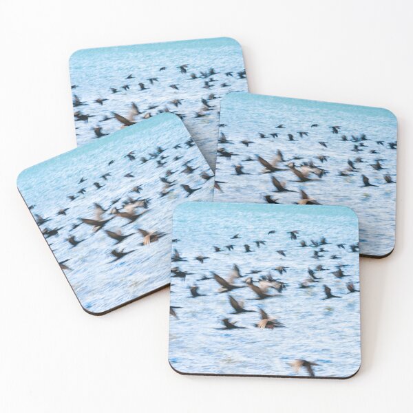 Item preview, Flight of cormorant blurred in motion in flight over blue water designed and sold by Brian Scantlebury.