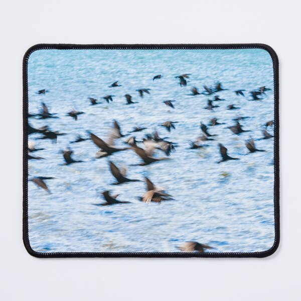 Item preview, Flight of cormorant blurred in motion in flight over blue water designed and sold by Brian Scantlebury.