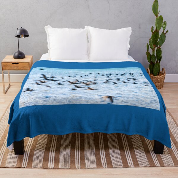 Item preview, Flight of cormorant blurred in motion in flight over blue water designed and sold by Brian Scantlebury.