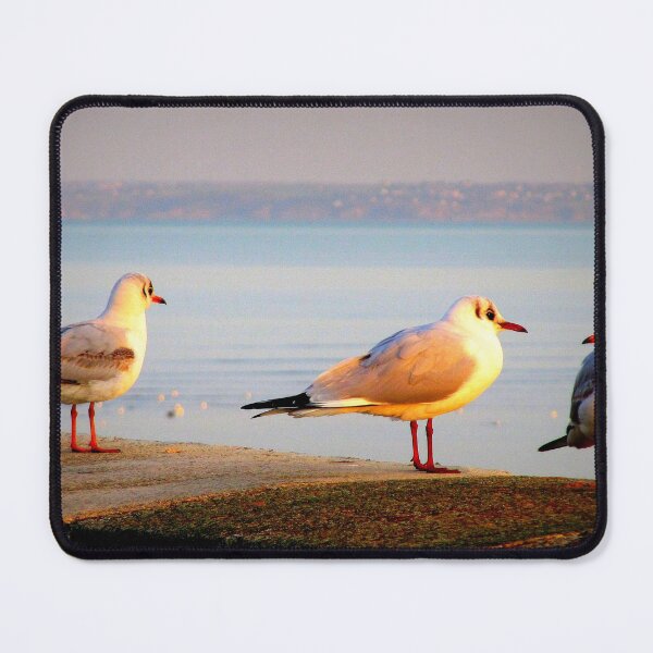 Item preview, The gossips ... designed and sold by ART22.