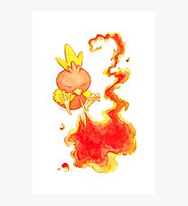 Torchic Photographic Print