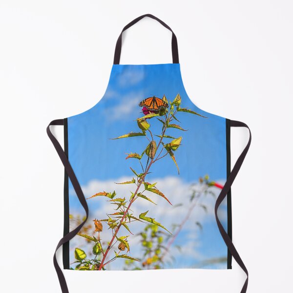 Item preview, USA. Washington D.C. US Botanic Garden. Butterfly. designed and sold by vadim19.