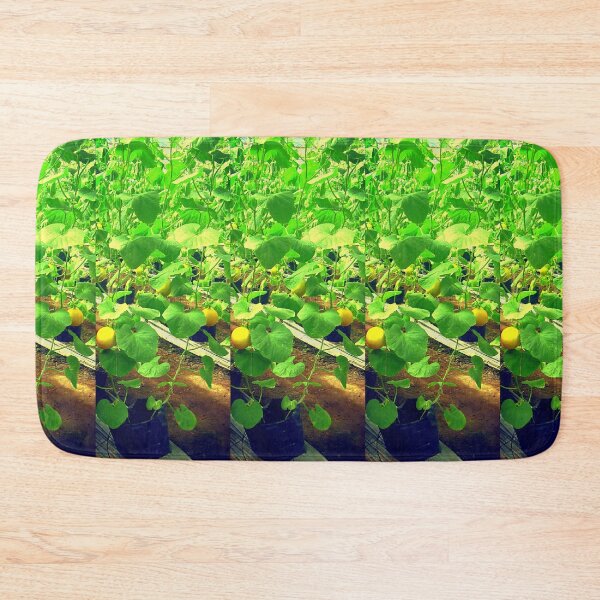Item preview, Successful and Very Successful Melon Fruit Farmer designed and sold by CDMCustom.